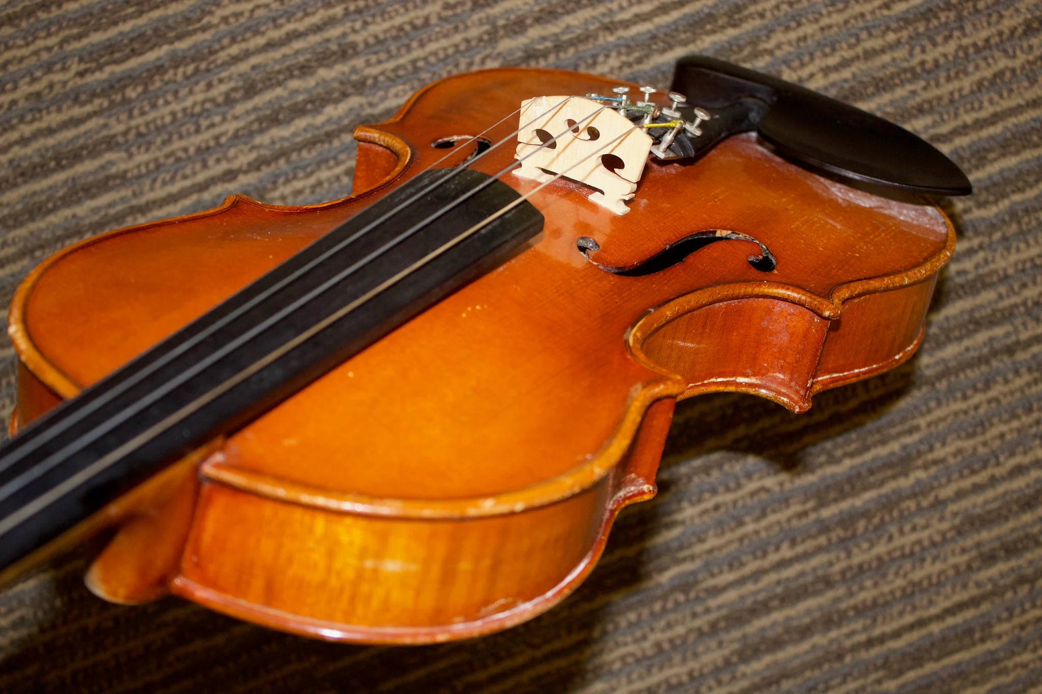 Want to Play the Violin Better? Top 5 Tips to Improve Your Playing!